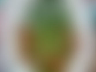 Los espárragos siempre están buenísimos.