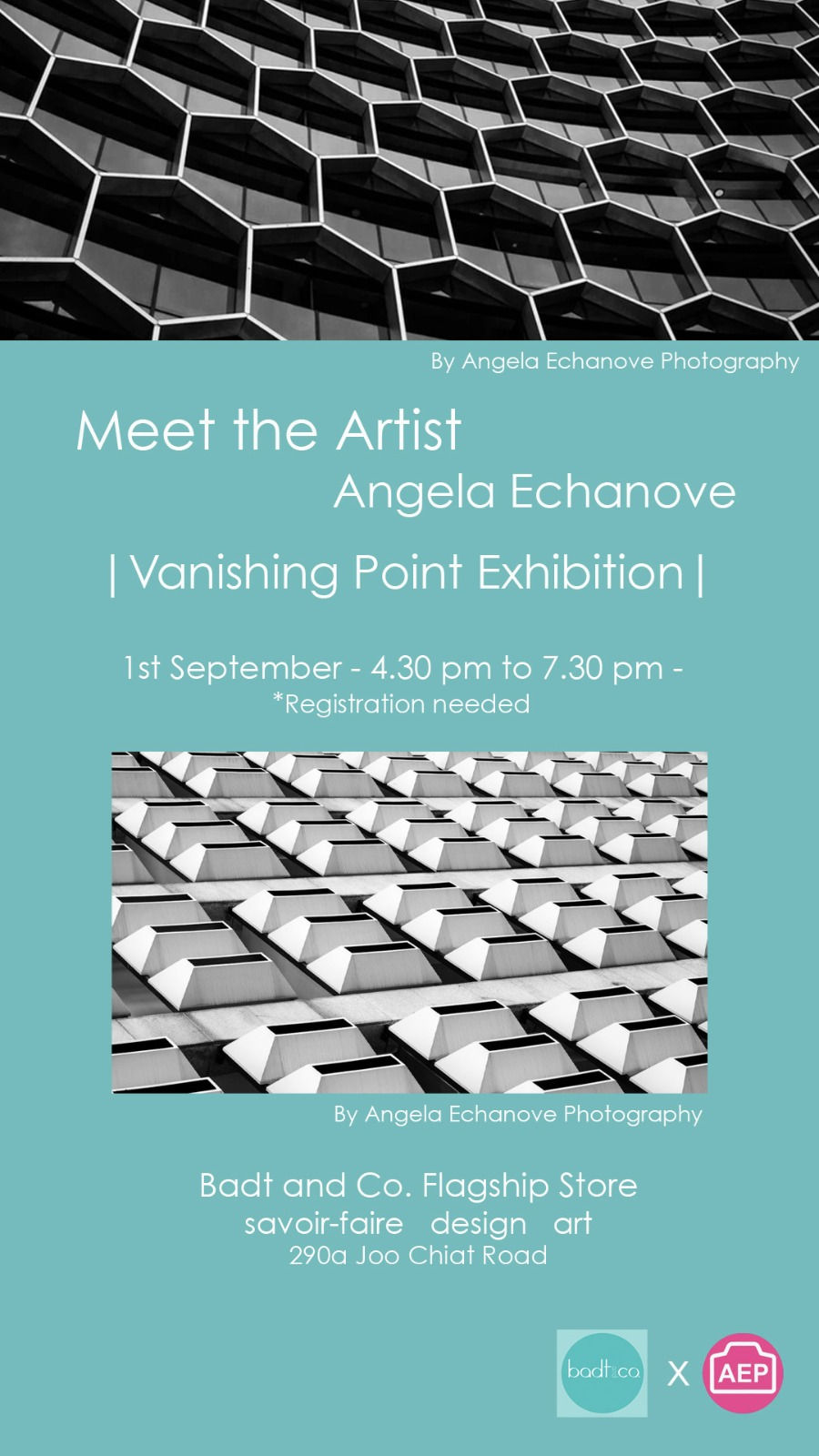 Meet the Artist