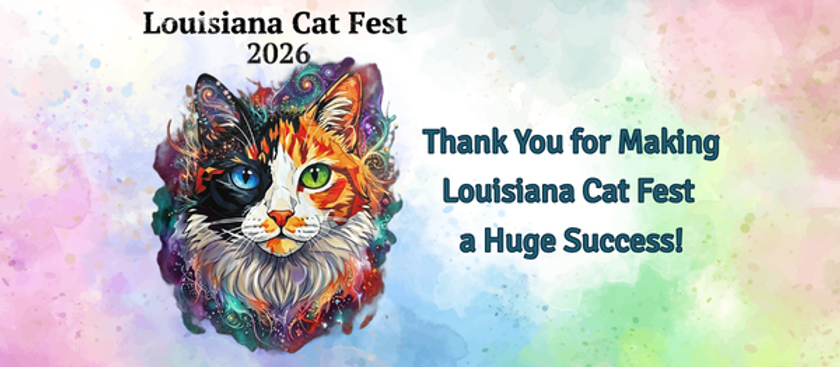 Cat Fest Thank You Header.png