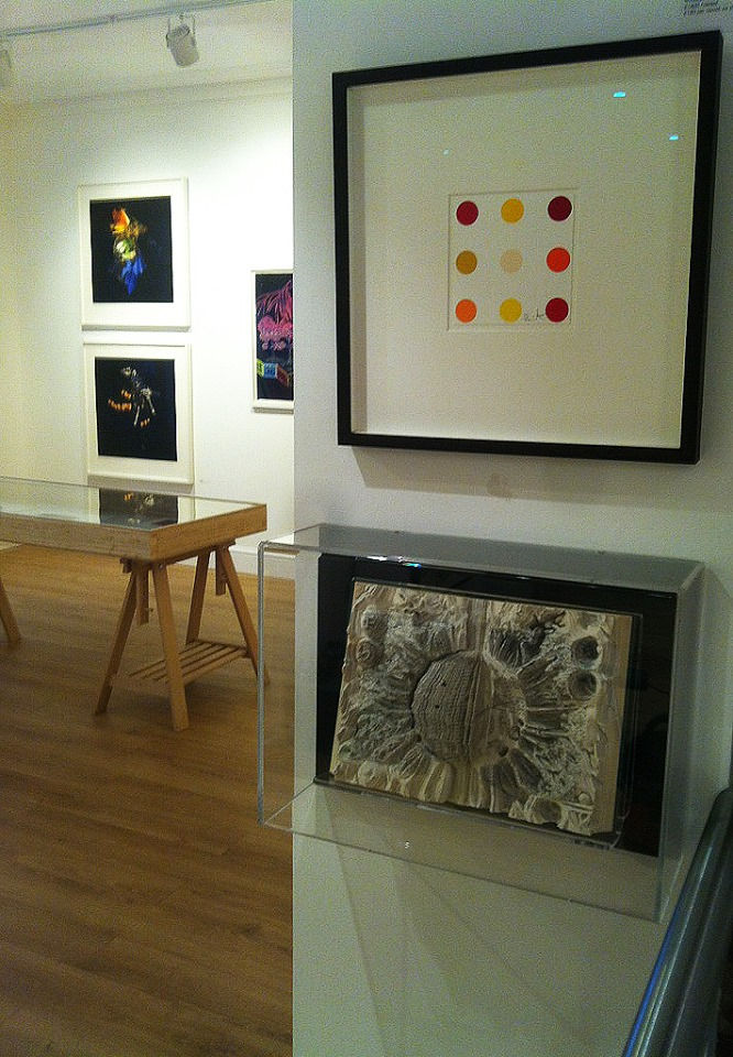 Atelier rose and gray.jpg