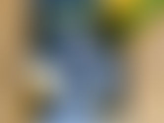 La battaglia delle cinque bambine.