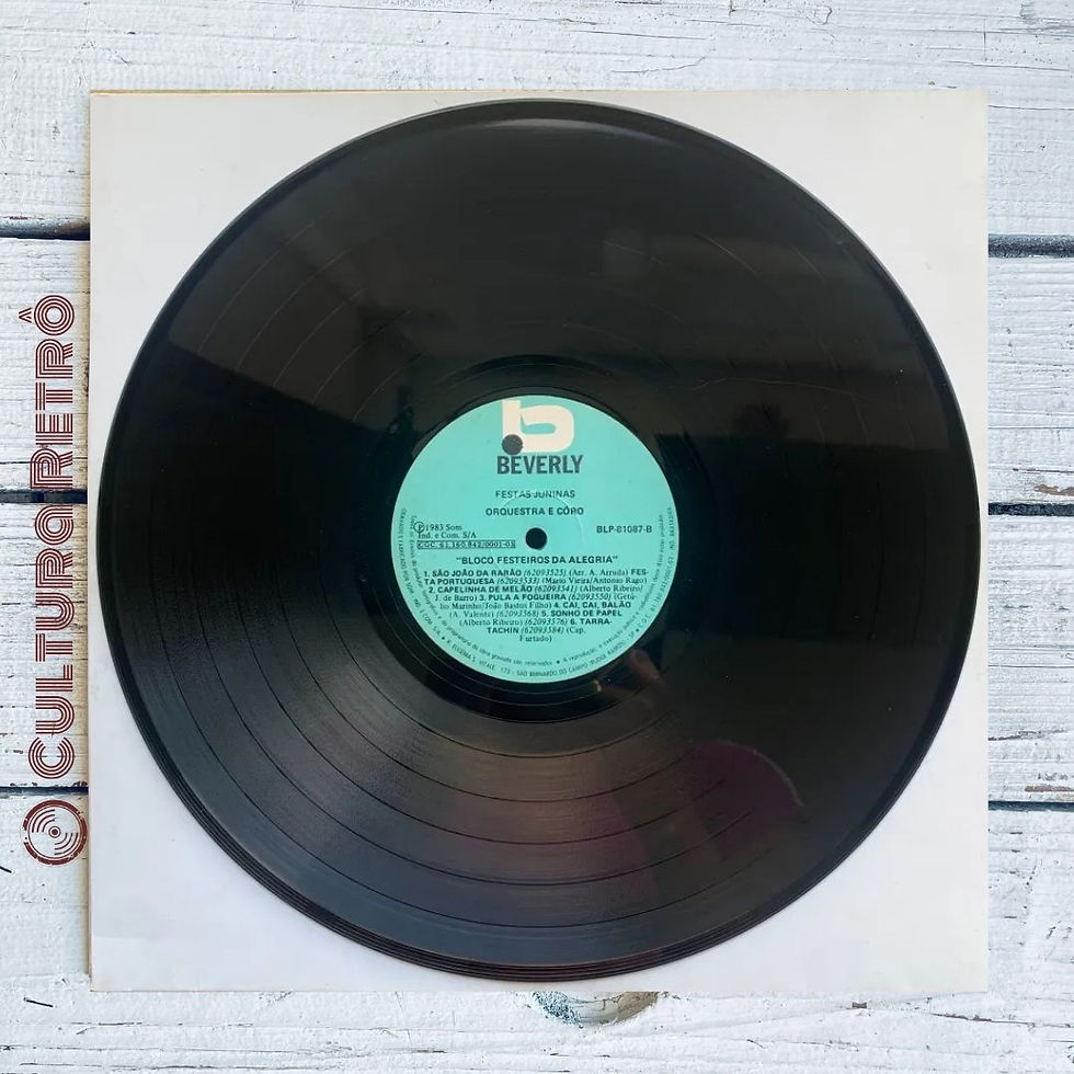 Miniatura: LP FESTA JUNINA BLOCO FESTEIROS 1983( ÓTIMO) PULA A FOGUEIRA