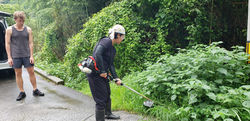 cutting the weeds