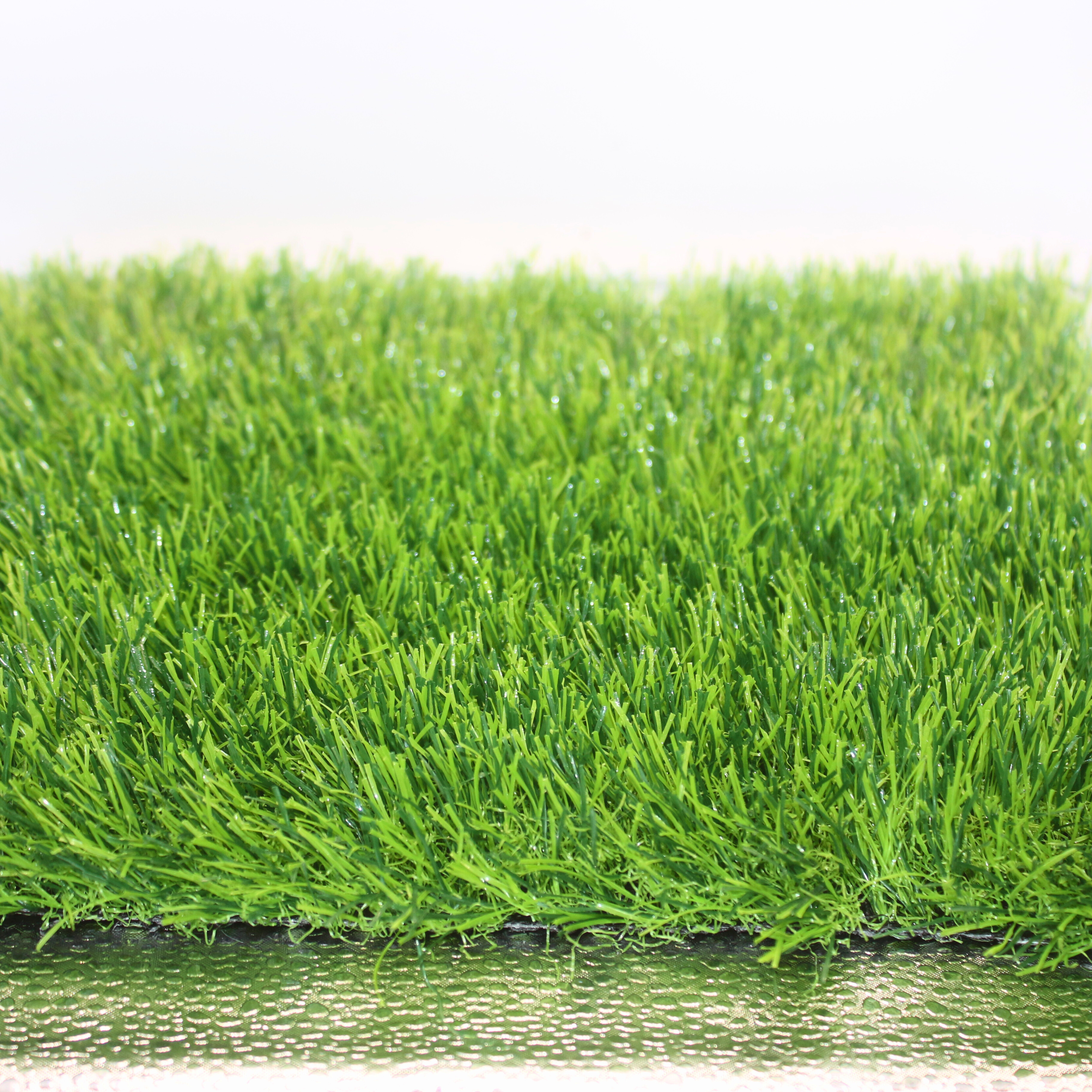 Modelo Sierra de Mazamitla