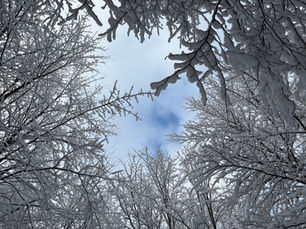 Winter Kinesiologie Praxis Winterthur