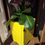 Thumbnail: Planter Stand with 3 Planters