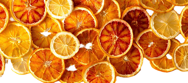 dehydrated-fruit-for-cocktail-in-new-yor
