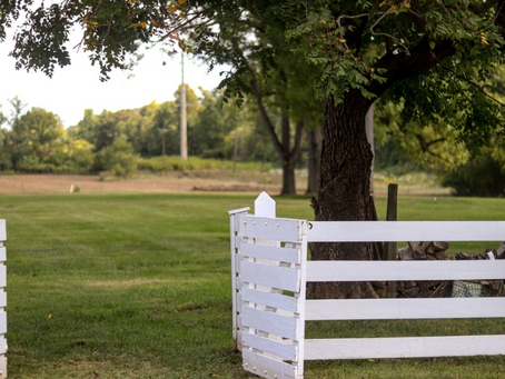 The Gate is Wide Open