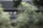 DSCF0305.JPG