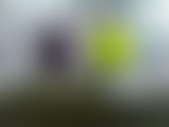 Capturado alias "Chote" presunto sicario de "Los Costeños"