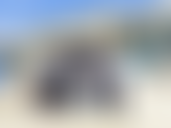 El nuevo hospital Juan Domínguez Romero, el primero en utilizar energía renovable en el Atlántico