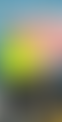 Rector habría abusado física y sexualmente de esposa durante 14 años