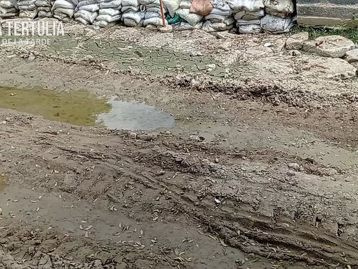 Las mentiras del Gran Pacto Social por Soledad