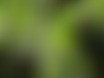 Policía es herido con arma de fuego en el barrio el Bosque por bajarle volumen a un pick up