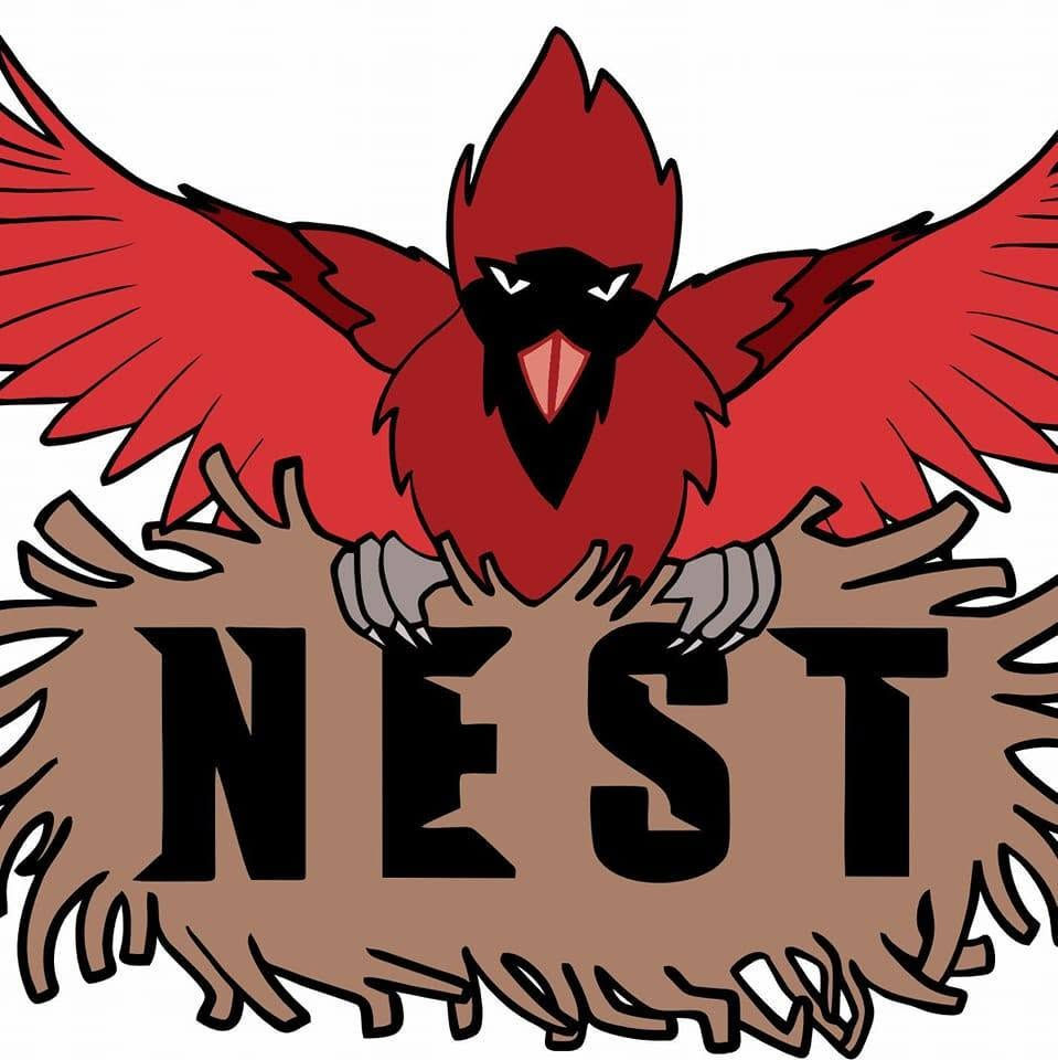 Art Festival @ The Nest in Albion