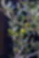 md_West St Front-53.jpg