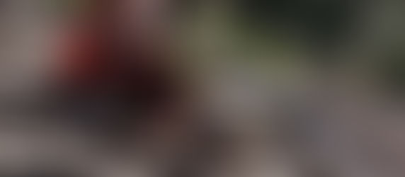 Mountain biker in a helmet comes off his bike on a rocky forest trail, dust flying.