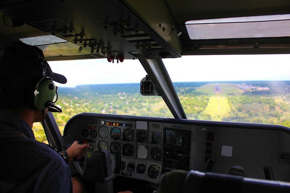 Pilot in cockpit landing a small aircraft on a runway. Controls and gauges visible. Outside, a green landscape stretches under a blue sky.