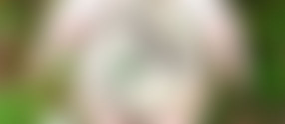 The Phrasal Verb 'Give Away' Explained