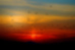 Birds flying with a sunset behind them