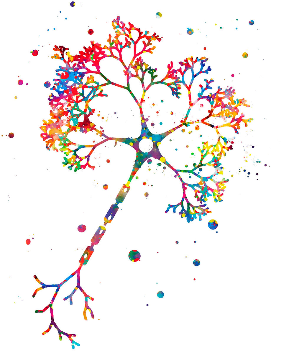 Biomarkers of Treatment Response