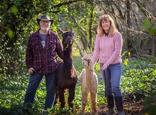 689f63_cee458a4aa8f4fe8a4f663879c9ffcd2~