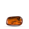 amber-gemstone.png