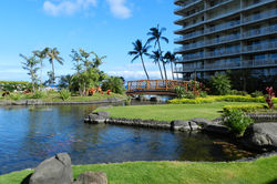 The Whaler grounds