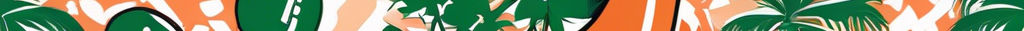 University of Miami colored pattern