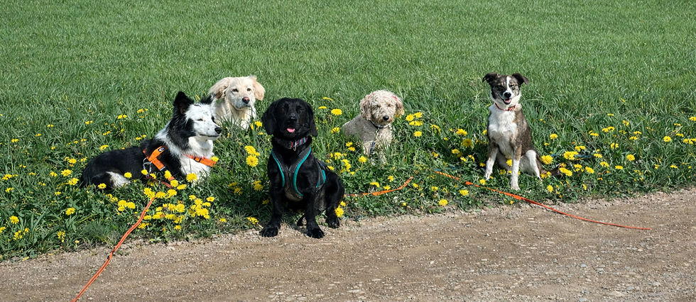 ChatGPT Image 11_edited_edited.jpg