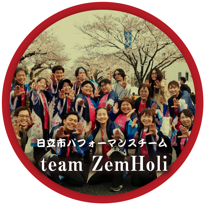 team ZemHoli