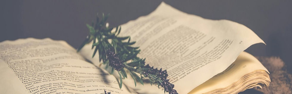 Professional book editing and manuscript review for aspiring authors.