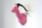 Pretty in Pink (goat head)