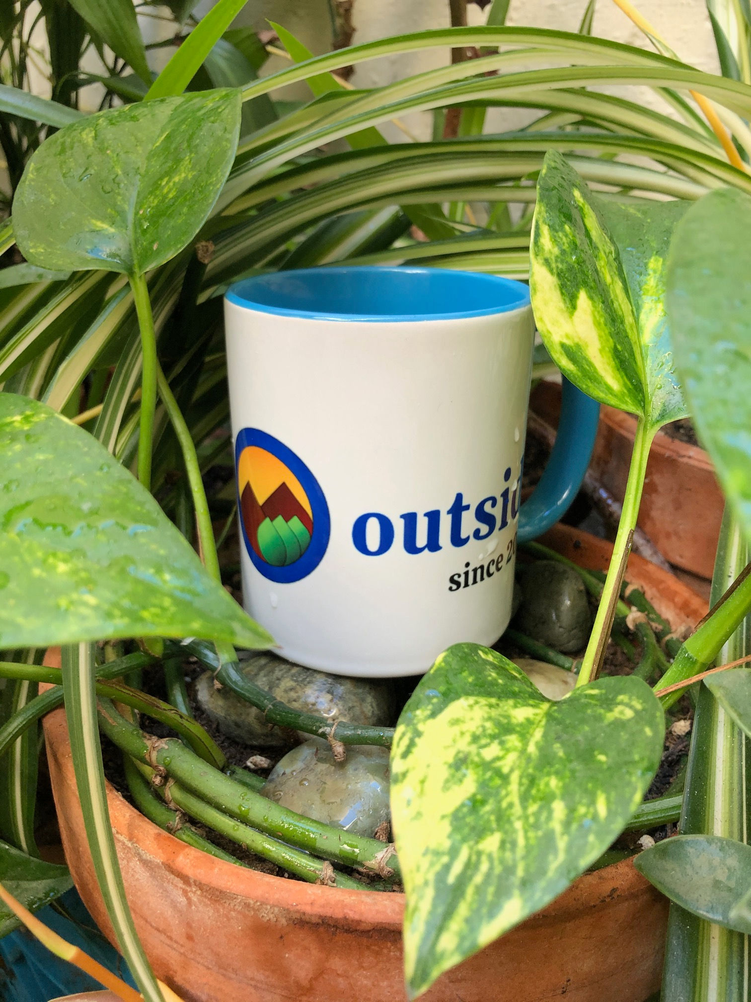 i am a colorful shiny mug