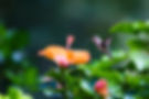 website -8198.jpg