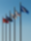 About-Flags.png