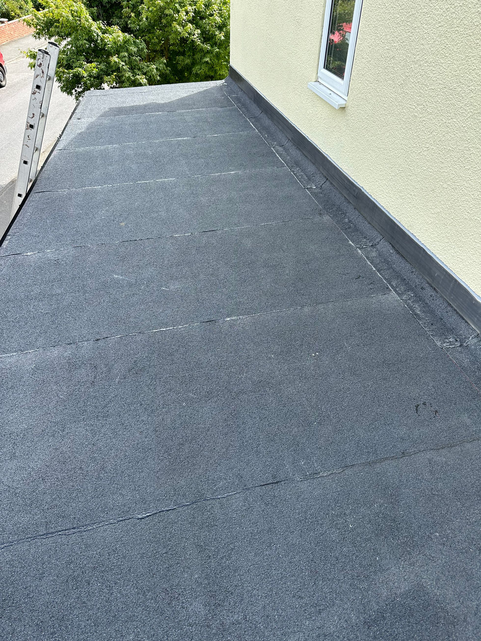 Flatroof2