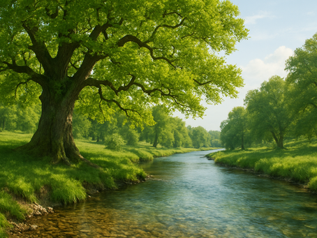 Guarded and Grounded By God's Word