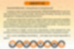 02 (1)_edited.jpg