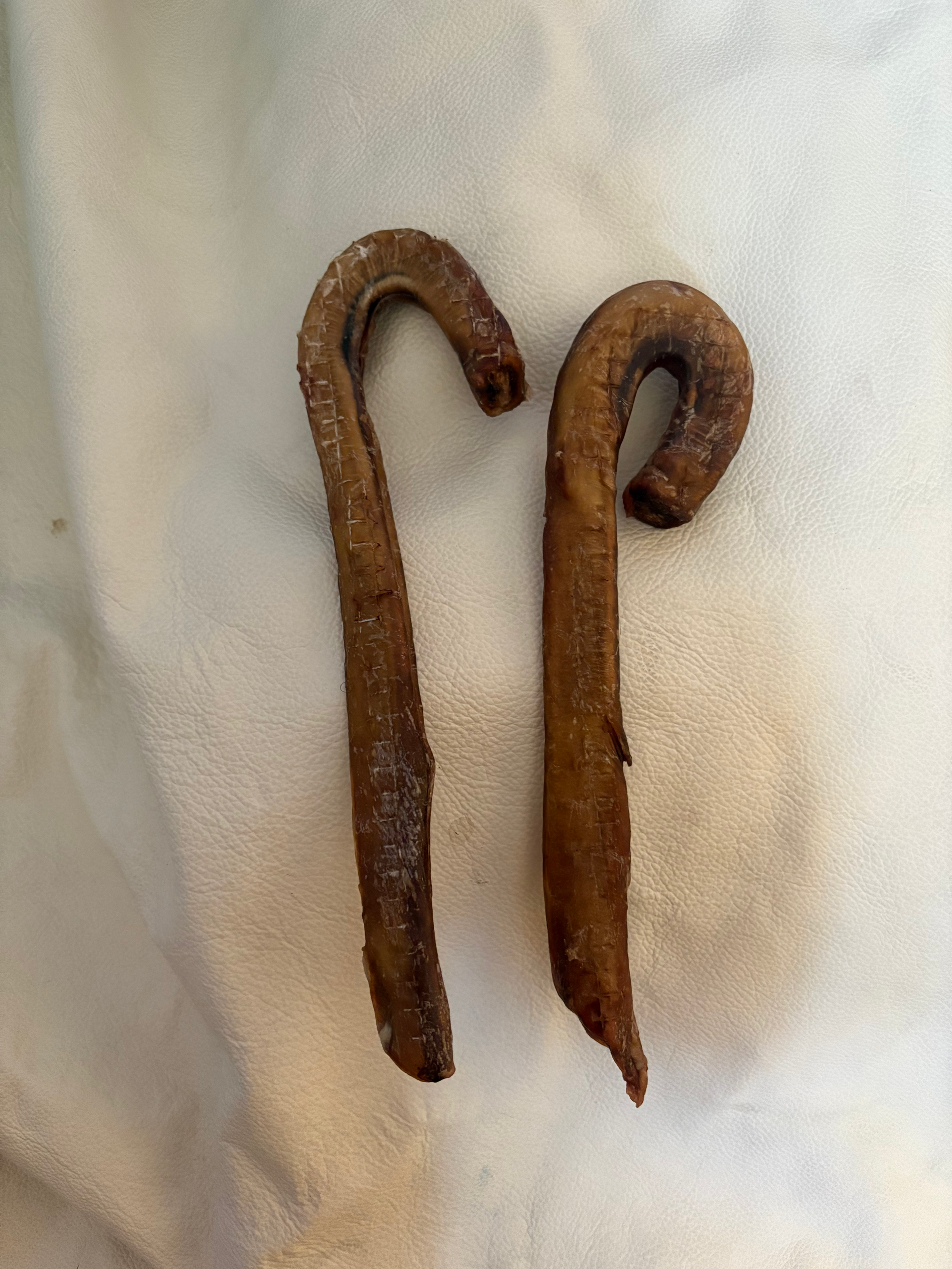 15" Inch Mega Bison Bully Chew