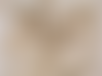 Buone feste dalla Fondazione Filantropica Sidival Fila