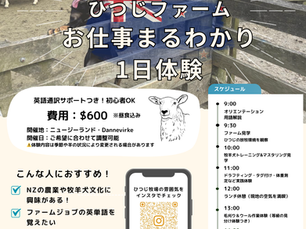 🐑NZで牧場のお仕事してみたい方必見!!🇳🇿
