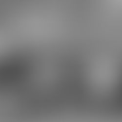 Guinness World Record