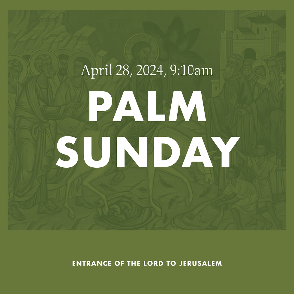 Palm Sunday 