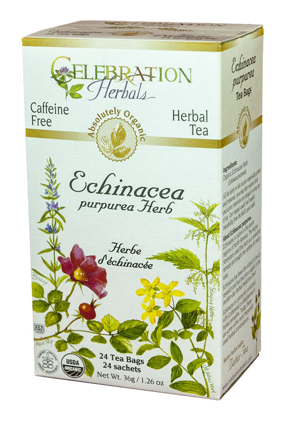 Echinacea Purpurea Herb Tea