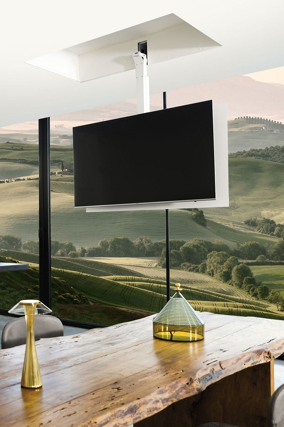 Ceiling-mounted television with remote-controlled motorized arm