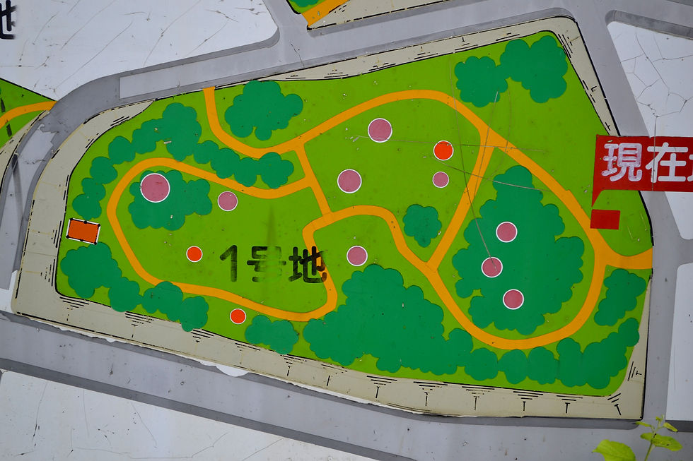 青木遺跡1号地 分布図