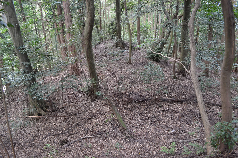 1号墳　前方後円墳