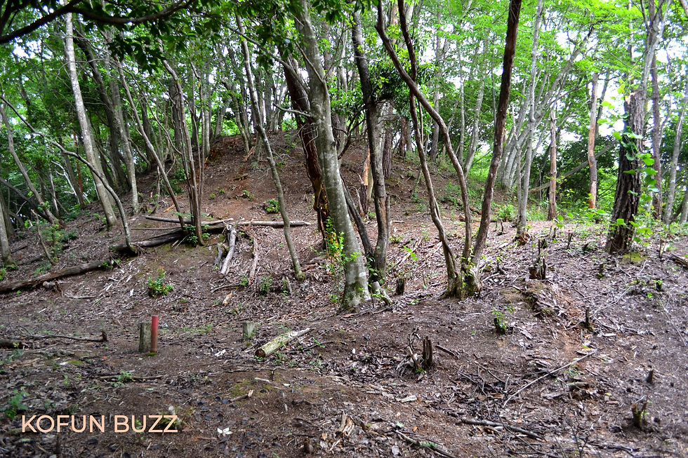 手前　前方部　　奥　後円部