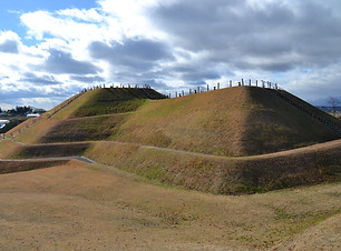 DSC_0398.JPG